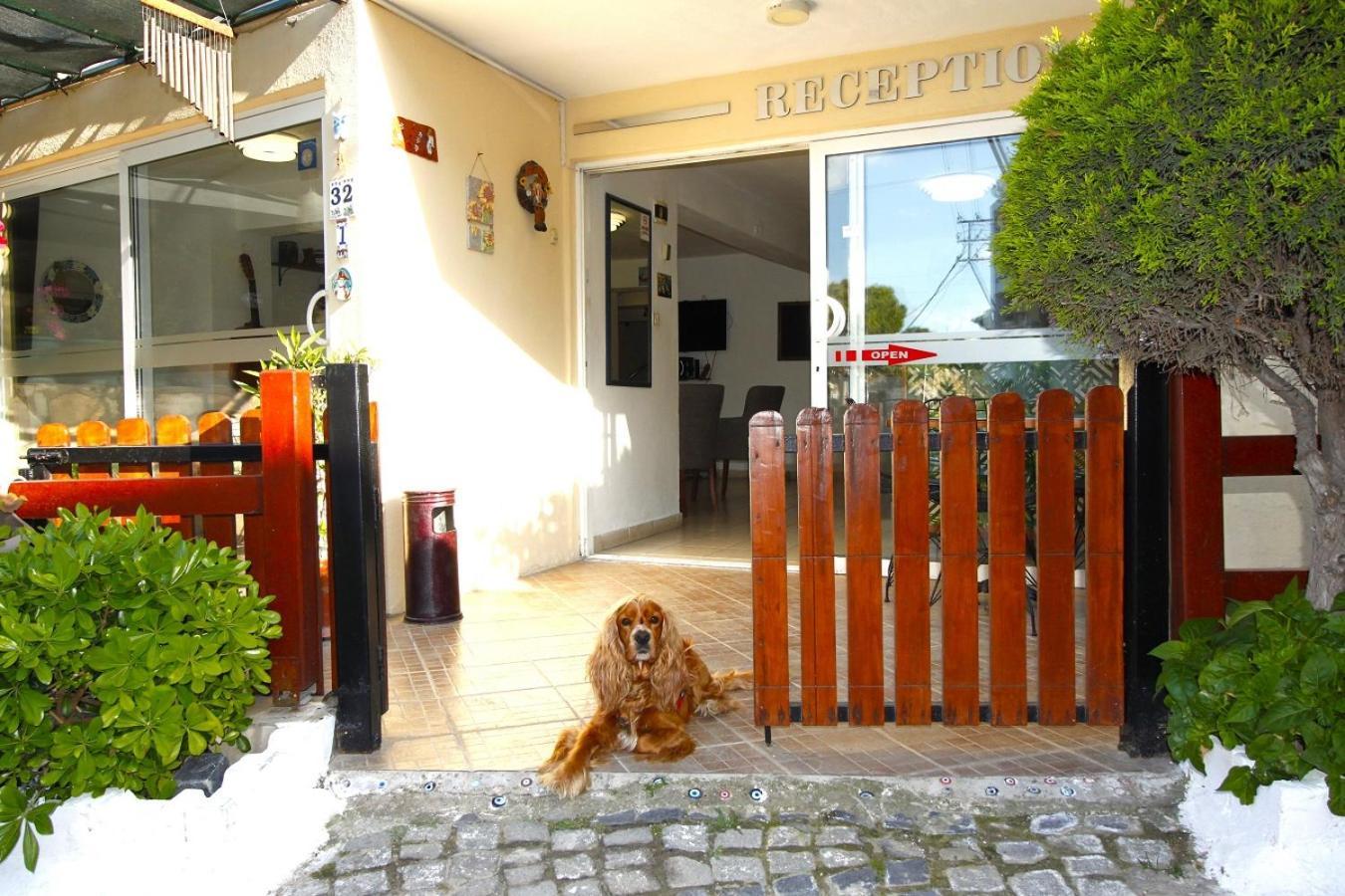 Bonapart Hotel Çeşme Exteriör bild