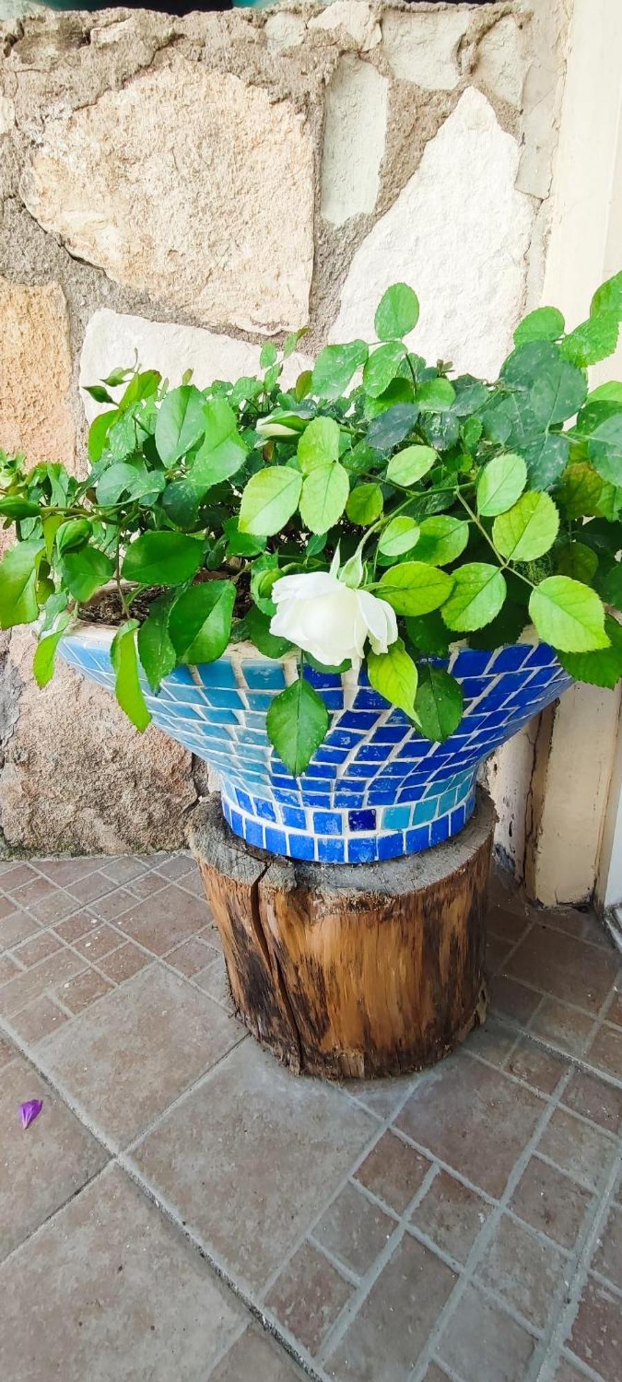 Bonapart Hotel Çeşme Exteriör bild